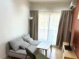 2 Bedroom Condo for sale at The Seed Terre Ratchayothin, Lat Yao, Chatuchak, Bangkok, Thailand