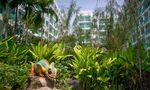 Jardin commun at Amazon Residence