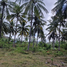  Grundstück zu verkaufen in Lombok Tengah, West Nusa Tenggara, Praya