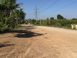  Land for sale in Thung Tom, San Pa Tong, Thung Tom