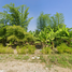  Land for sale in Bang Khen, Bangkok, Tha Raeng, Bang Khen