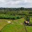  Land for sale in Badung, Bali, Abiansemal, Badung