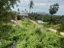  Grundstück zu verkaufen in Koh Samui, Surat Thani, Maret