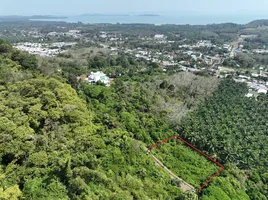  Land for sale at Yamu Hills, Pa Khlok, Thalang