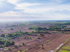 在Phimai, 呵叻府出售的 土地, Nai Mueang, Phimai