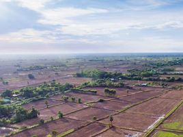 在呵叻府出售的 土地, Nai Mueang, Phimai, 呵叻府