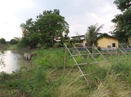  Grundstück zu verkaufen in Phu Khiao, Chaiyaphum, Nong Tum, Phu Khiao, Chaiyaphum