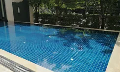 Photos 3 of the 游泳池 at The Address Chidlom