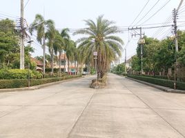 ขายที่ดิน ในโครงการ หมู่บ้านพิมุกต์ 4, สันพระเนตร, สันทราย