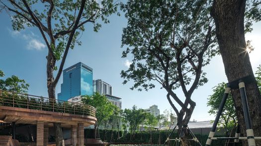 Photo 1 of the Communal Garden Area at The Monument Thong Lo