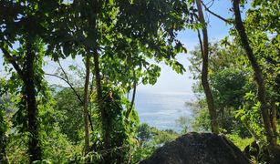 N/A Land for sale in Kamala, Phuket 