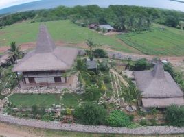 4 Schlafzimmer Villa zu verkaufen in Sumba Timur, East Nusa Tenggara, Pandawai