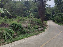 ขายที่ดิน ใน เมืองภูเก็ต ภูเก็ต, ฉลอง