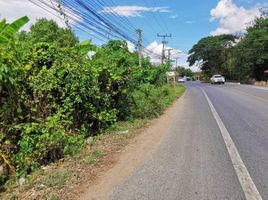  Land for sale in San Pa Tong, Chiang Mai, Thung Tom, San Pa Tong