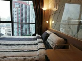 1 Schlafzimmer Appartement zu vermieten im Life Sukhumvit 48, Phra Khanong