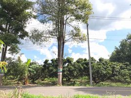  Land for sale in Mae Pang, Phrao, Mae Pang