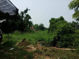  Grundstück zu verkaufen in Taphan Hin, Phichit, Ngio Rai