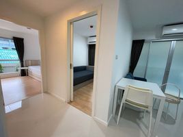 1 Schlafzimmer Appartement zu vermieten im Whizdom Punnawithi Station, Bang Chak