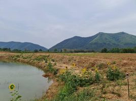  Grundstück zu verkaufen in Tha Yang, Phetchaburi, Khao Krapuk, Tha Yang