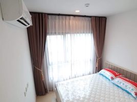1 Schlafzimmer Wohnung zu verkaufen im The Tree Sukhumvit 71-Ekamai, Suan Luang, Suan Luang