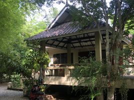 4 Schlafzimmer Haus zu verkaufen in Doi Saket, Chiang Mai, Pa Lan, Doi Saket