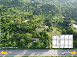  Land for sale in Ban Noen, Phetchabun, Ban Noen