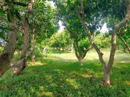  Grundstück zu verkaufen in Nong Saeng, Saraburi, Khok Sa-At, Nong Saeng