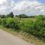  Land for sale in Nong Phai, Mueang Udon Thani, Nong Phai