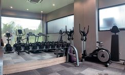 Photos 2 of the Communal Gym at Patong Bay Residence