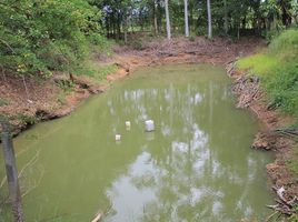  Grundstück zu verkaufen in Nong Chang, Uthai Thani, Khao Kwang Thong