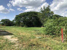  Land for sale in Lop Buri, Khao Sam Yot, Mueang Lop Buri, Lop Buri