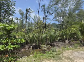  Land for sale in Sakhu, Phuket, Sakhu, Thalang