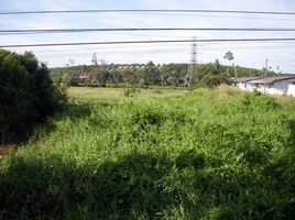  Grundstück zu verkaufen in Mueang Trat, Trat, Wang Krachae