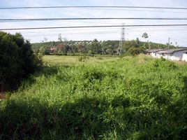  Grundstück zu verkaufen in Mueang Trat, Trat, Wang Krachae, Mueang Trat