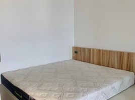 1 Schlafzimmer Wohnung zu vermieten im Triple Y Residence, Wang Mai