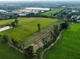  Grundstück zu verkaufen in Ban Thi, Lamphun, Ban Thi