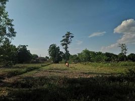  Grundstück zu verkaufen in Prasat, Surin, Kantuat Ramuan