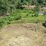  Land for sale in Phuket, Kamala, Kathu, Phuket