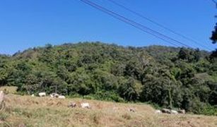 N/A Land for sale in Inthakhin, Chiang Mai 