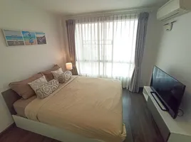 1 Schlafzimmer Appartement zu vermieten im D Vieng Santitham, Chang Phueak