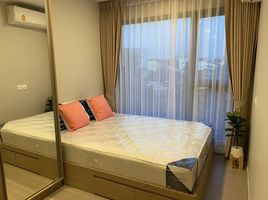 1 Bedroom Condo for rent at The Privacy S101, Bang Chak, Phra Khanong, Bangkok, Thailand