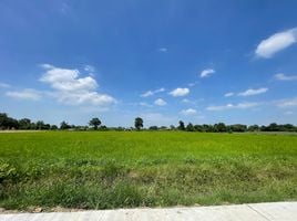  Land for sale in Nong Khaem, Nong Khae, Nong Khaem