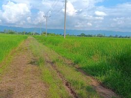  Grundstück zu verkaufen in Phu Kamyao, Phayao, Dong Chen, Phu Kamyao, Phayao