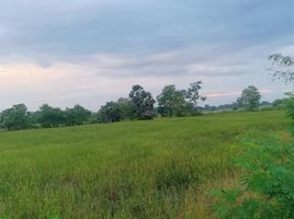  Land for sale in Phichit, Sak Lek, Sak Lek, Phichit