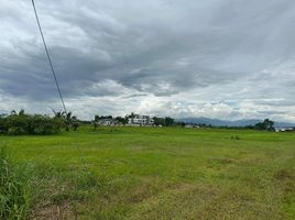  Land for sale in Rim Kok, Mueang Chiang Rai, Rim Kok