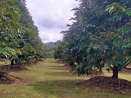  Grundstück zu verkaufen in Khao Saming, Trat, Thep Nimit, Khao Saming