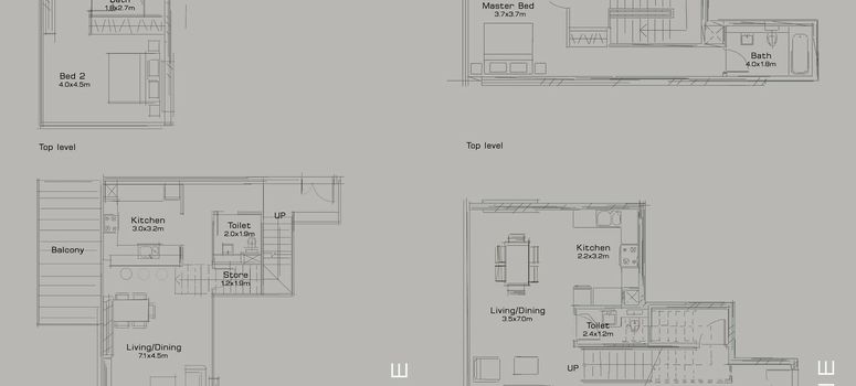 Master Plan of Silverene Tower B - Photo 5