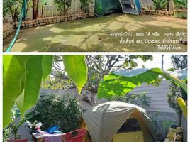 3 Schlafzimmer Haus zu vermieten in San Sai, Chiang Mai, Pa Phai, San Sai