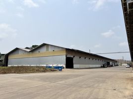  Warehouse for rent in Thailand, Laem Fa Pha, Phra Samut Chedi, Samut Prakan, Thailand