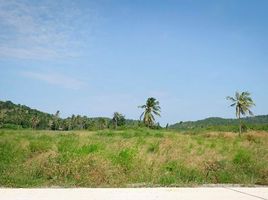  Land for sale in Wang Phong, Pran Buri, Wang Phong